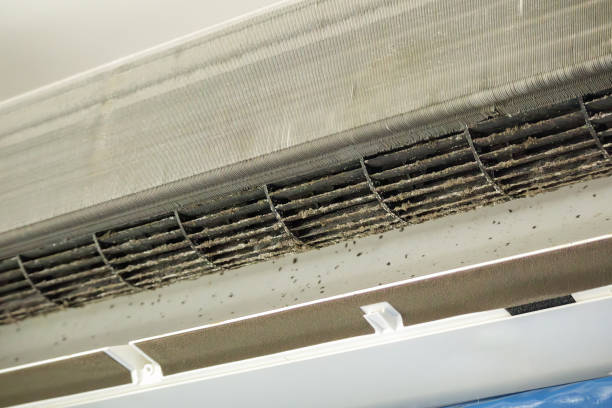 Best Emergency Air Duct Cleaning  in West Mountain, UT